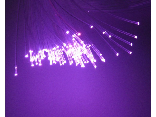 Purple Fibre Optics